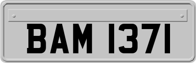 BAM1371