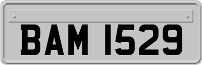 BAM1529