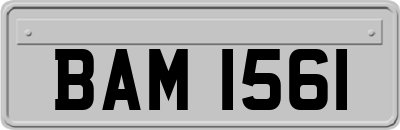 BAM1561