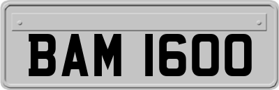 BAM1600