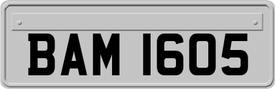 BAM1605