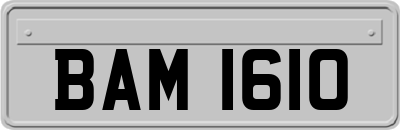 BAM1610
