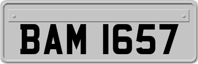 BAM1657