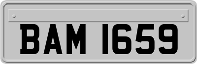 BAM1659