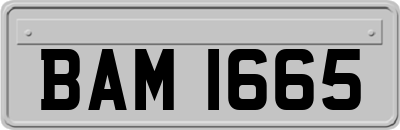 BAM1665
