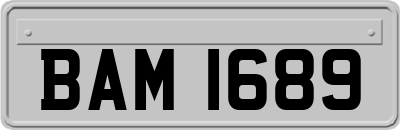BAM1689