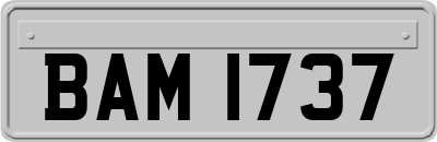BAM1737