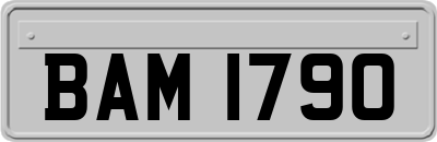 BAM1790