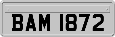 BAM1872