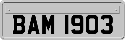BAM1903