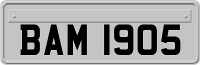 BAM1905