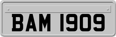 BAM1909