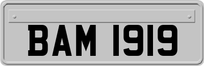 BAM1919