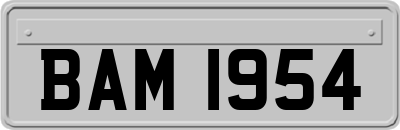 BAM1954