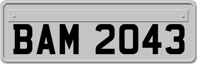 BAM2043