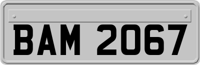 BAM2067