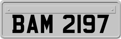 BAM2197