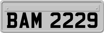 BAM2229