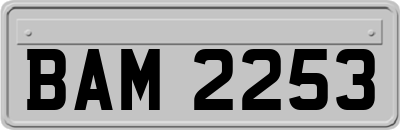 BAM2253