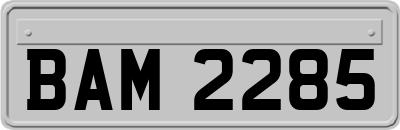 BAM2285