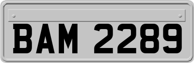 BAM2289