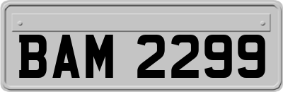 BAM2299