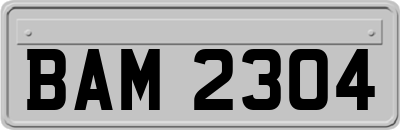 BAM2304
