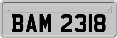 BAM2318