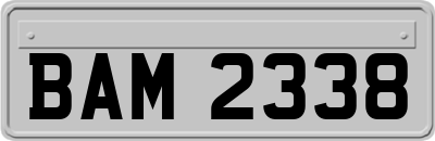 BAM2338