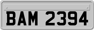 BAM2394