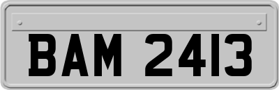 BAM2413