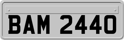 BAM2440