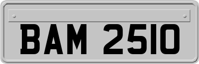 BAM2510