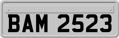 BAM2523