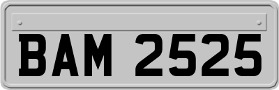BAM2525