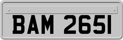 BAM2651