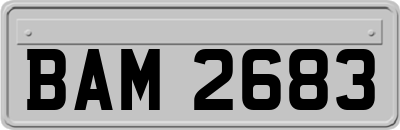 BAM2683