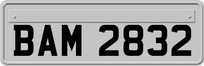 BAM2832