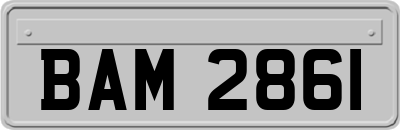 BAM2861