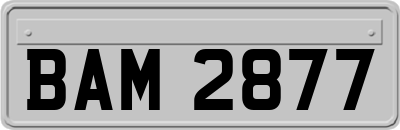BAM2877