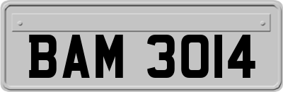 BAM3014