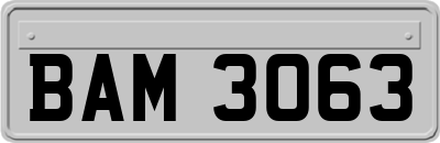 BAM3063