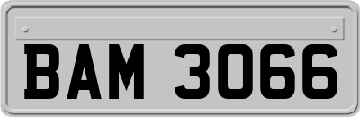 BAM3066