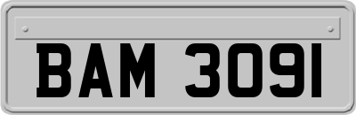 BAM3091