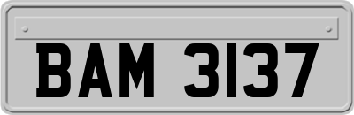 BAM3137