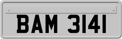 BAM3141