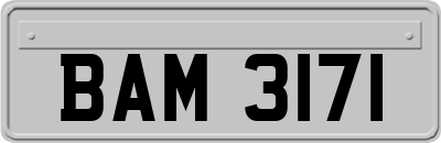 BAM3171
