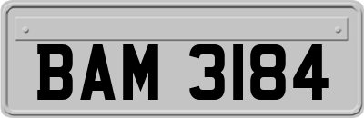 BAM3184