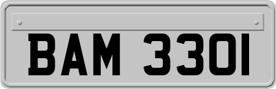 BAM3301
