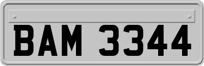 BAM3344